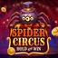 Spider Circus Hold and Win