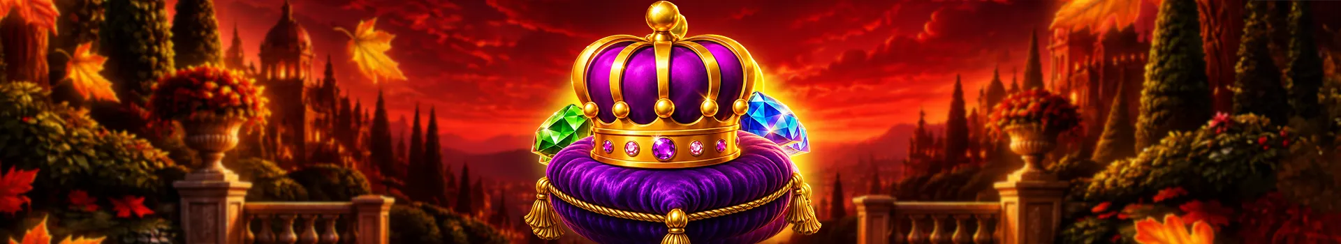 promotion network image