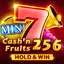 Cash'n Fruits 256 Hold And Win